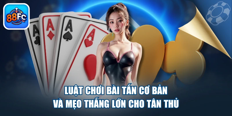 Luật Chơi Bài Tấn Cơ Bản Và Mẹo Thắng Lớn Cho Tân Thủ