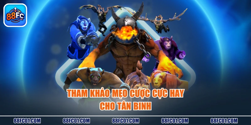 Tham khảo mẹo cược cực hay cho tân binh